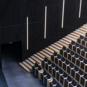 Reportage photo dans le Pôle culturel Lino Ventura - salle de spectacle en bois sombre
