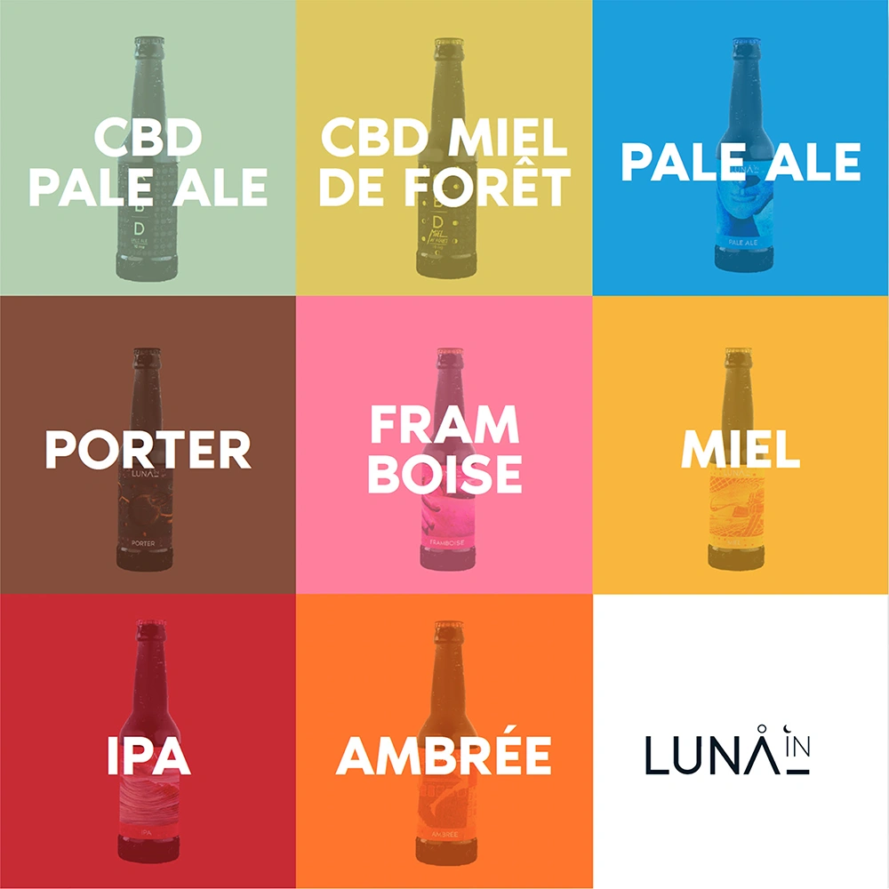 charte graphique saveur bière Luna'in Charte graphique Luna'in - catalogue des saveurs des bières