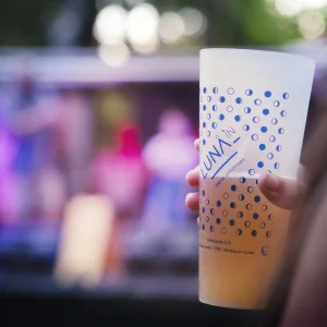 Reportage photo pour Luna'in vue sur la scène musical lors du festival de la bière