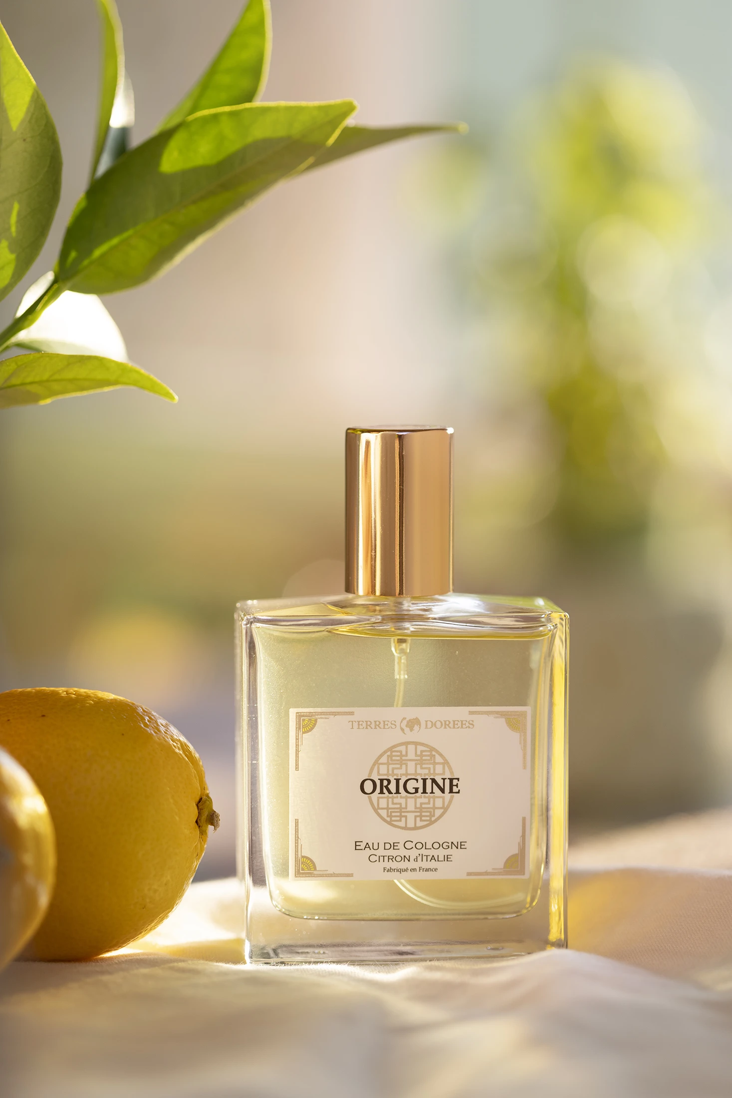 Photo - Photographie aux touches citronnés pour le parfum Origine de Terres Dorées par l'Agence Verveine
