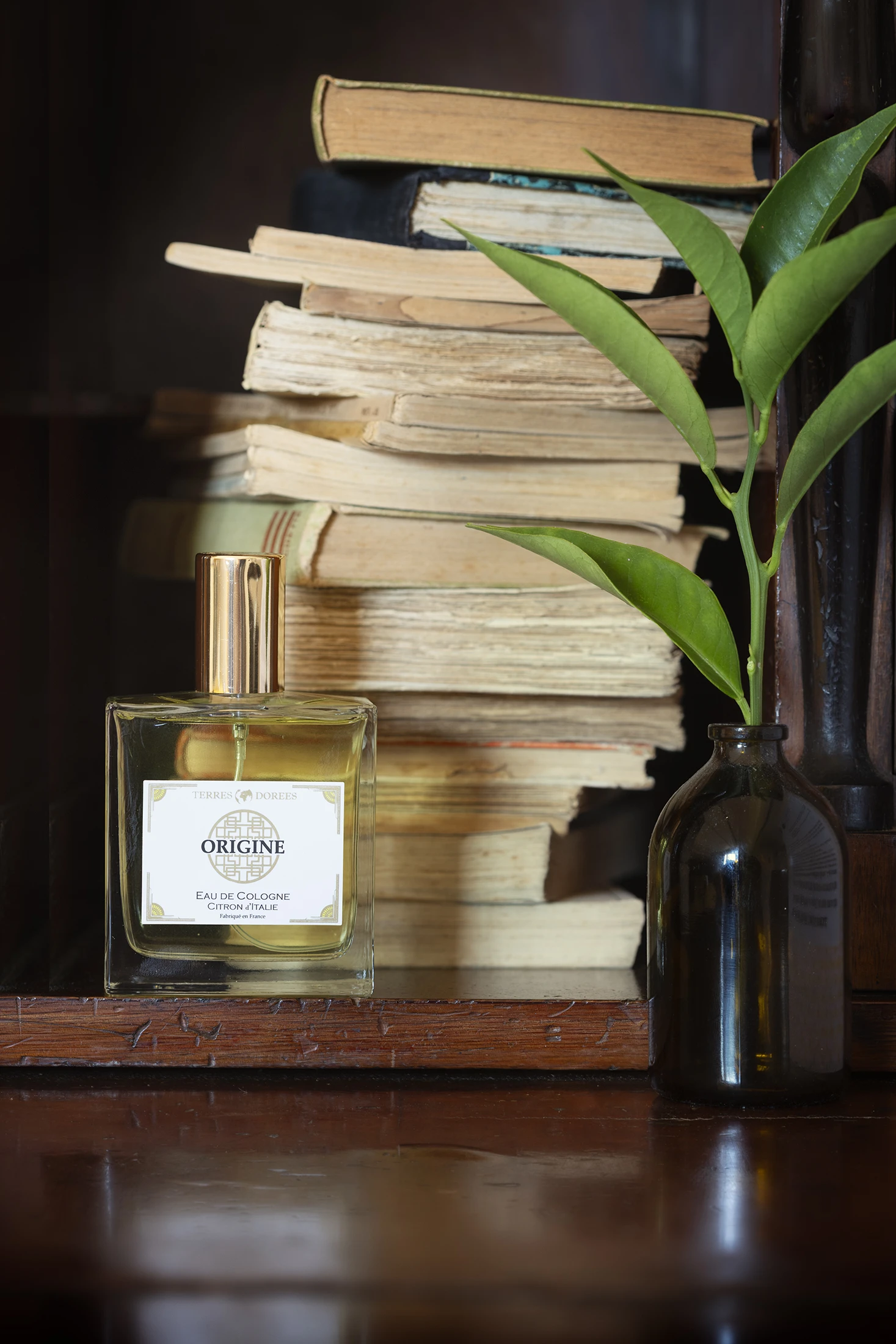 Photo - Flacon de parfum Terres Dorées photographié en intérieur par l'Agence Verveine