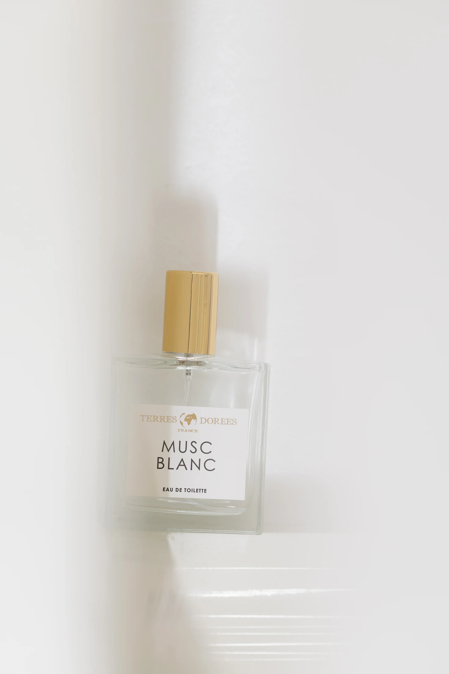 Photo - Parfum Terres Dorées réalisées en intérieur - Agence Verveine